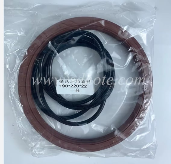 Oil Seal Set - Howo 470